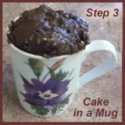 cake in a mug recipe