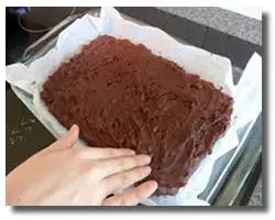 easy chocolate chip brownies