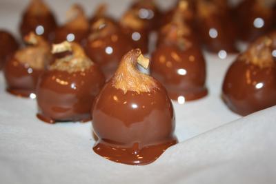Chocolate Covered Fig Truffles