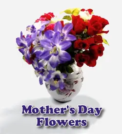 Mothers Day Flowers
