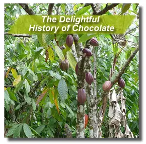 the true history of chocolate