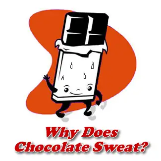 Why does chocolate sweat after taking out of refrigerator?